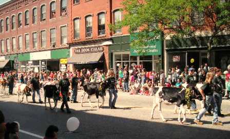 Strolling of the Heifers